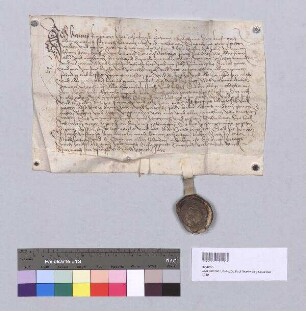 Hans Kemnater zu Rosenberg verkauft an Thomas Neydecker, Bürger zu Hirschau, die Lehen, die dieser von ihm zu Ewlen hat. S1: Hans Kemnater zu Rosenberg, S2: Stadt Hirschau