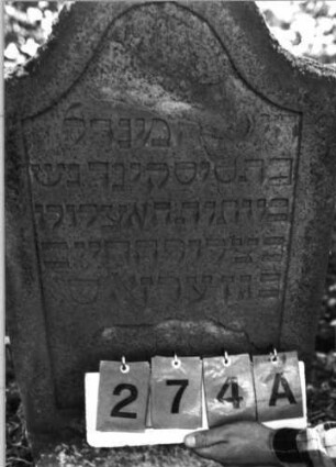 Grabstein 274 (Index: 99795799) Maße HxBxT: 92x50x7 cm Besonderheit: Kindergrab: Grabstein 274A
