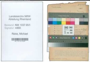 Entnazifizierung Michael Reiss , geb. 08.10.1897 (Formermeister)