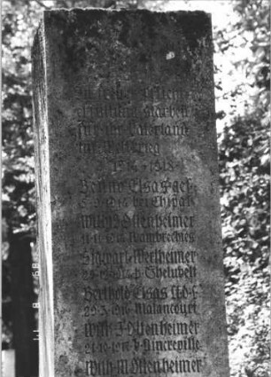 Kriegerdenkmal (Index: 100109057) Besonderheit: kulturhistorisch wertvoll / hist.-wiss. Gründe (Gedenkstein); - Namen siehe Inschriften: Gedenkstein (Detailaufnahme 2)