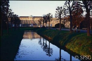 Potsdam, Park Sanssouci, Bullenwiese, Kastanien bei den Stichgräben.