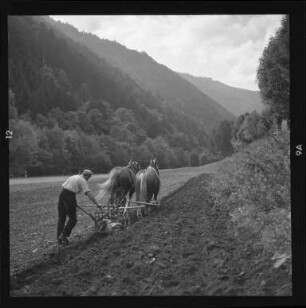 Landwirtschaft im Schwarzwald