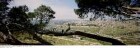 Israel: Jerusalem