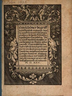 Ain schöner Begriff darinn kurtzlich angezaigt, das die merck des waren lebenden glaubens, so durch götliche Liebe geschehen, gott gefallen