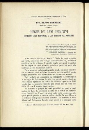 Pieghe Dei Reni Primitivi Contributo Alla Morfologia E Allo Sviluppo Del Diaframma