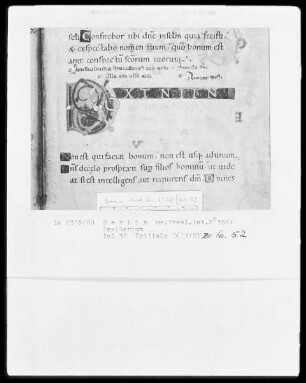 Psalter aus Werden — Initiale D (ixit), Folio 32recto