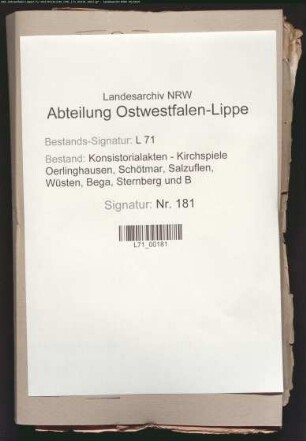 Einkünfte und Besitzungen des Pastors