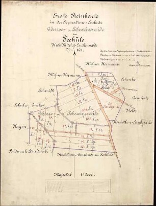 Erste Reinkarte in der Separationssache der Gänse- und Schweineweide zu Pechüle