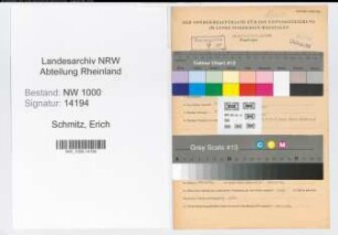 Entnazifizierung Erich Schmitz, geb. 27.03.1898 (Vertreter)