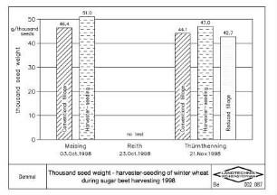 Thousand seed weight, harvester-seeding of winter wheat during sugar beet harvesting 1998