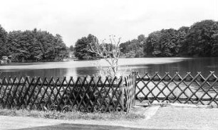 Oppach. Damm-Mühle, Mühlteich