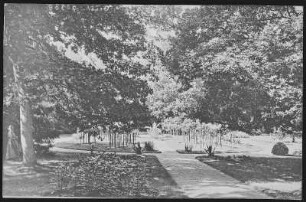 Großenhain. Stadtpark