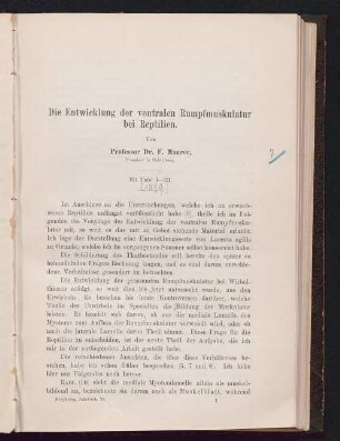 Die Entwicklung der ventralen Rumpfmuskulatur bei Reptilien