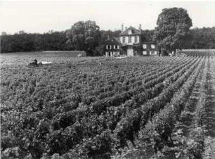 Typisches Weingut bei Beaune
