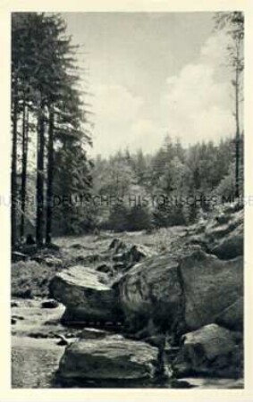 Ansicht aus dem Gottleubatal (Erzgebirge)