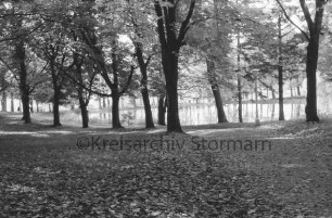 Kurpark: vorn rechts Weg mit Blättern: hinten Salzteich zwischen Bäumen
