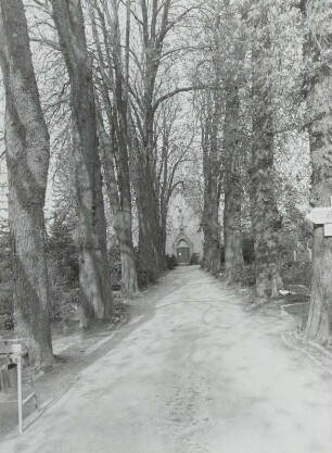 Neuer Friedhof
