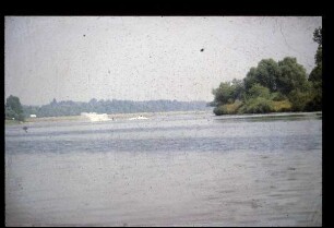 Wasserskifahren auf dem Rhein