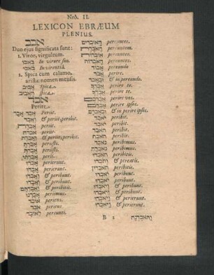 Nro. II. Lexicon Ebraeum Plenius.