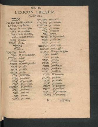 Nro. II. Lexicon Ebraeum Plenius.