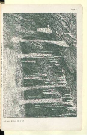 Tropfsteingebilde in der Hermannshöhle bei Rübeland (Harz)