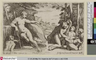 [Diane s'appercevant de la grossesse de Calisto]