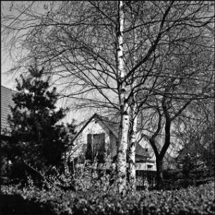 Lönsweg Nr. 5, Garten