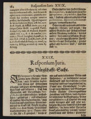 XXIX. ... In Bürgschafft-Sache.
