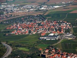 Sausenheim (Pfalz)