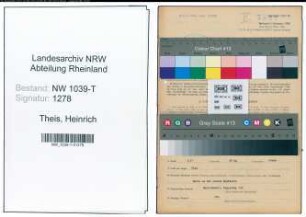 Entnazifizierung Heinrich Theis , geb. 06.06.1900 (Fachmeister)