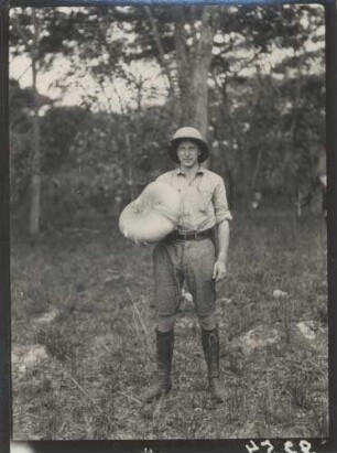 Am Kafue-Fluss nordwestlich von N'Chamya. Nord-Rhodesien. Ackermann mit sehr großem eßbaren Pilz
