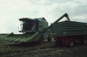 Fotografie: Erntetechnik, Mähdrescher selbstfahrend, Maispflückvorsatz, Korntank, Zweiachsanhänger, Be- und Entladen