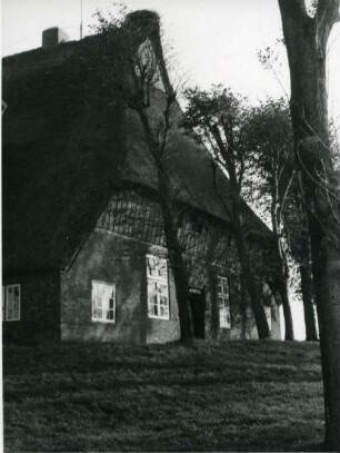 Bauernhaus, Wilstermarsch, Norddeutsche Küste