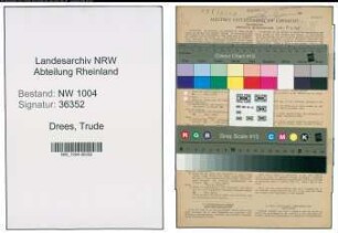 Entnazifizierung Trude Drees , geb. 27.07.1915 (Verkaeuferin)