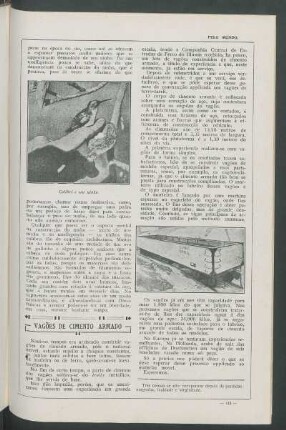Vagões de cimento armado