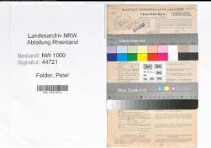 Entnazifizierung Peter Felder, geb. 04.07.1892 (Architekt)