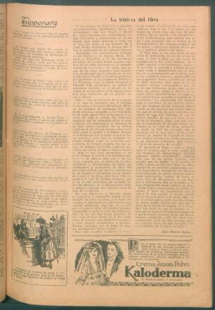 La tristeza del libro