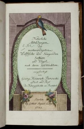 Bd. 2, Taf: Natürliche Abbildungen der merkwürdigsten Vögel nach ihren Geschlechtern/ausgefertigt von Georg Heinrich Borowski