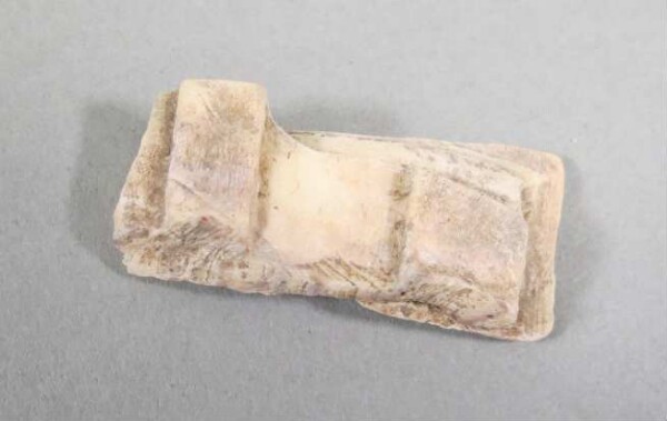 Fragment eines Muschelarmrings