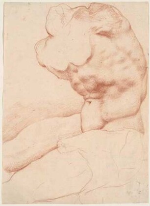 Torso Belvedere