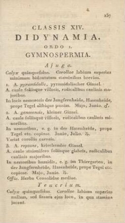 Classis XIV. Didynamia