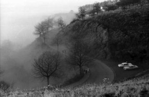 Freiburg, Herdern: Eichhalde im Nebel, von oben