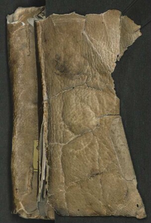 40 Myrrhenbüschel vom Leiden Christi - BSB Cgm 4716