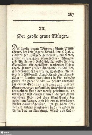 XII. Der große graue Würger