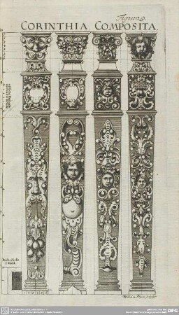 Figura 9