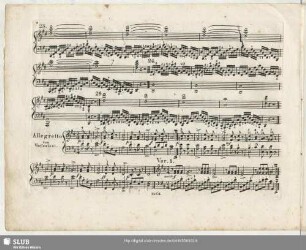 Allegretto con Variazioni.