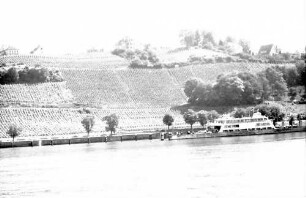 Meersburg: Weinberge über dem Fährhafen