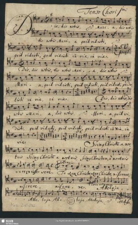 Tenor Chori 1mi