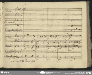 Cavatina: "Son sincera e di buon core"