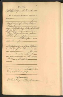 Standesamtsbuch der Stadt Aschaffenburg: Geburten 365/1900 - 184/1901